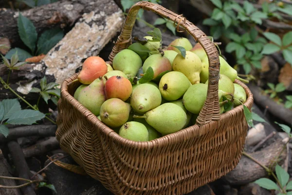 Fruit in wicker basket