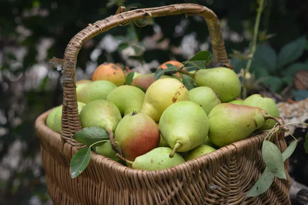 Fruit in wicker basket
