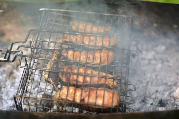 Picknick im Gras . — Stockfoto