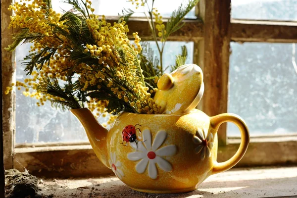 Yellow keramicheky tea with flowers mimosa stands on the windowsill .