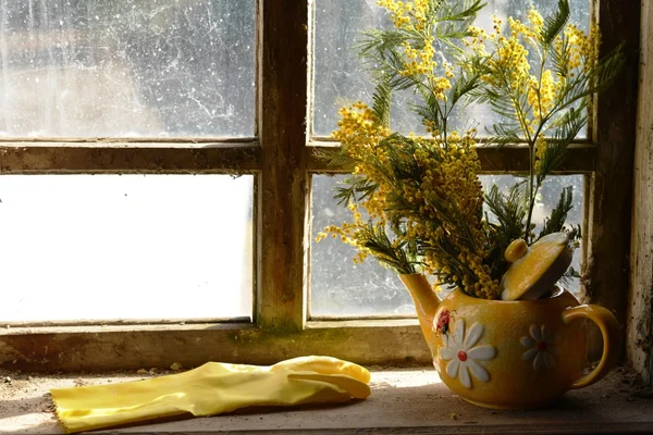 Chá amarelo keramicheky com flores mimosa fica no peitoril da janela  . Fotos De Bancos De Imagens