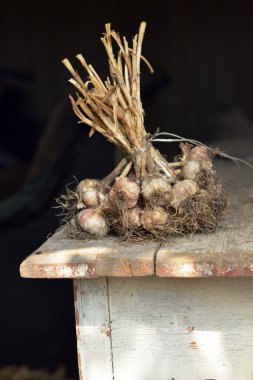 Tahta bir masanın üzerinde yatan sarımsak demet. 