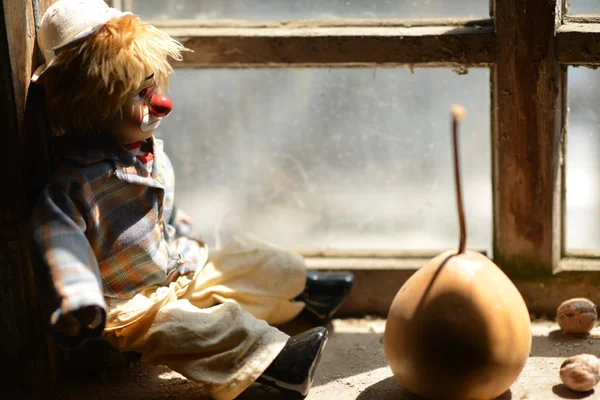 Sad clown looking through a window.