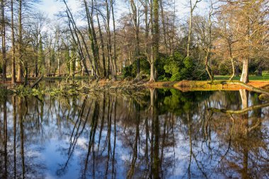Sakin bir kış günü. Yaşlı ağaçlar suya yansıyor. Orada çok güzel bir yürüyüş yapabilirsin.. 