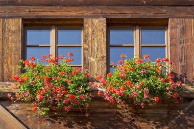 çiçekli iki pencere