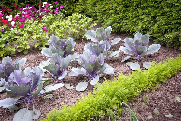 En el jardín de la cabaña — Foto de Stock