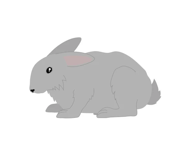 Rabbit White Background Cartoon Vector Illustration — Stock Vector