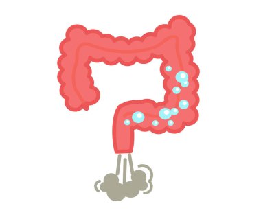 Intestines on a white background. Bloating. Vector illustration. clipart