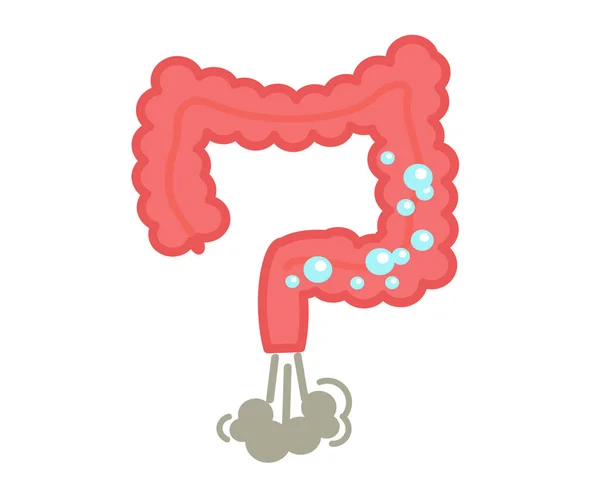 Intestines White Background Bloating Vector Illustration — Stock Vector