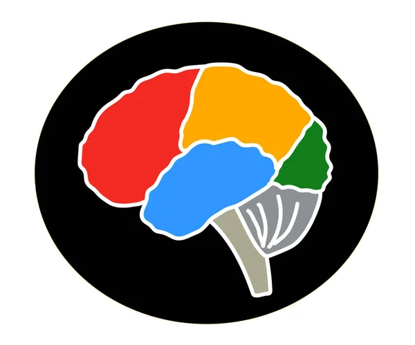 Περιοχές Του Εγκεφάλου Μαύρο Φόντο Σύμβολο Εικονογράφηση Διανύσματος — Διανυσματικό Αρχείο