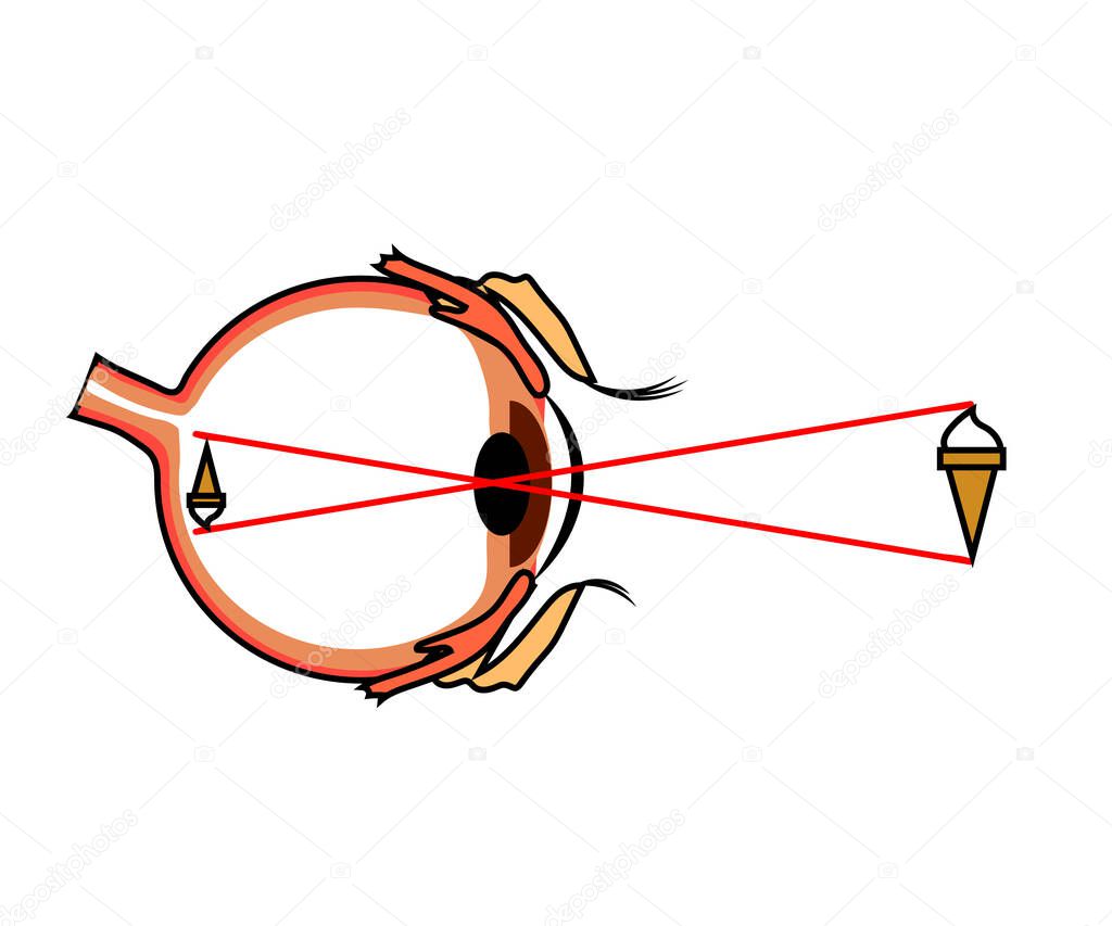 Human eye on a white background. Inverted perception. Vector illustration.