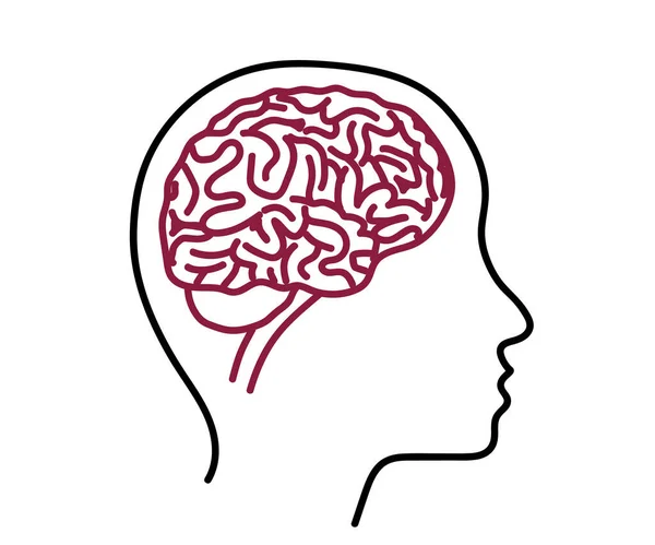 Silueta Cabeza Cerebro Sobre Fondo Blanco Ilustración Vectorial — Vector de stock