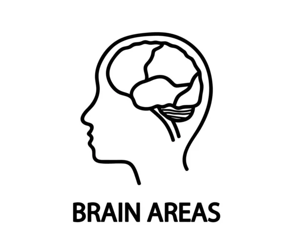 在白色背景上的头部和大脑轮廓 大脑区域 矢量说明 — 图库矢量图片