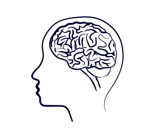 Människans Huvud Och Hjärna Vit Bakgrund Silhuett Vektorillustration — Stock vektor