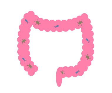 Beyaz arka planda kalın bağırsak. Bağırsak rahatsızlığı. Vektör illüstrasyonu.