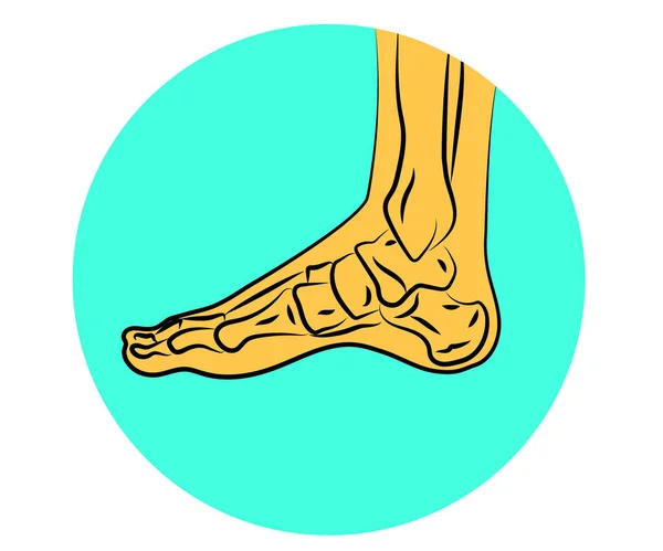人間の足と関節 シンボルだ ベクターイラスト — ストックベクタ