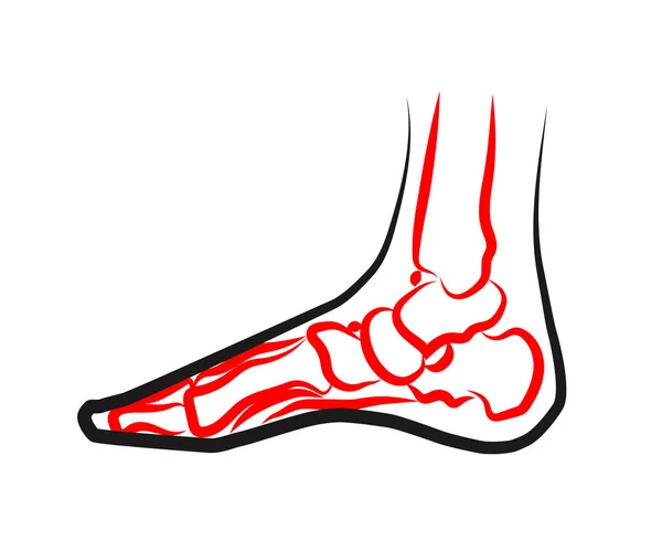 Человеческая Нога Суставы Символ Векторная Иллюстрация — стоковый вектор