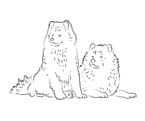 Deux Grands Chiens Sur Fond Blanc Croquis Illustration Vectorielle — Image vectorielle