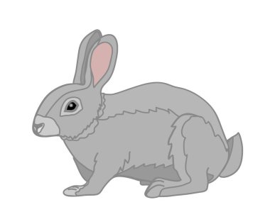 Beyaz arka planda şirin gri bir tavşan. Çizgi film. Vektör illüstrasyonu.