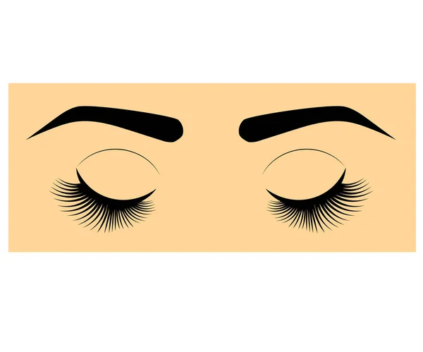 Pestañas Largas Cejas Extensión Pestañas Salón Belleza Ilustración Vectorial — Vector de stock