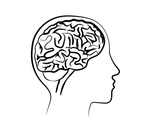 Силуэт Человеческого Мозга Головы Изолированном Фоне Символ Векторная Иллюстрация — стоковый вектор