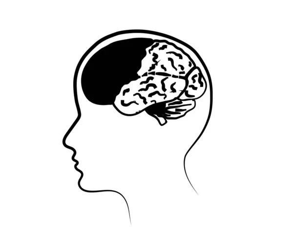 Människans Hjärna Och Huvud Siluett Isolerad Bakgrund Symbol Vektorillustration — Stock vektor