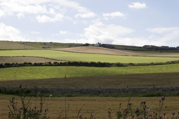 Ferme dans la campagne écossaise — Photo