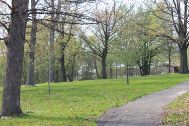 bir parkta yürüyüş yolu