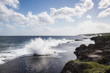 Kayalık sahil ve yükseliyorlar Pasifik peyzaj