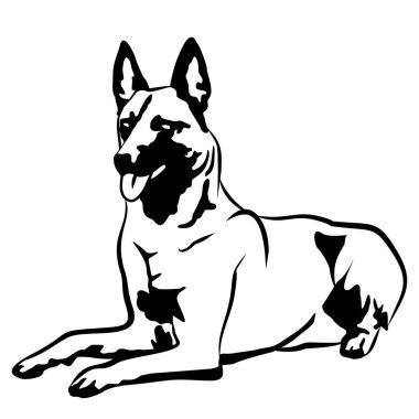 Malinois çoban köpeği. İşleme için basit vektör