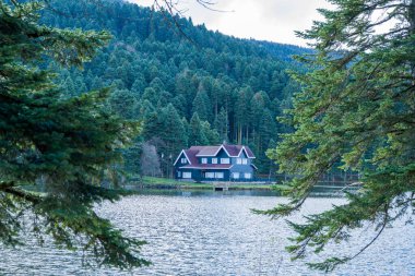 Çam Ormanlarının Ortasındaki Tenha Lakeside Evi