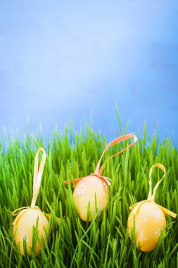 Paskalya renk decration.