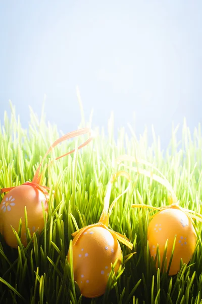 Decración del color de Pascua . —  Fotos de Stock