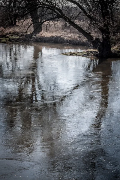Ombres réfléchissantes des arbres dans le lit de la rivière qui coule rapidement . — Photo