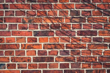 Eski tuğla duvar