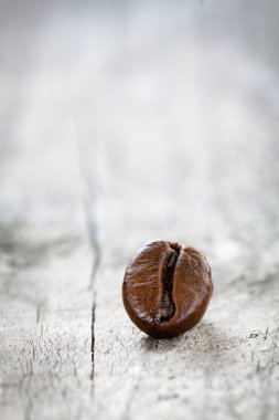 Tek kahve çekirdeği