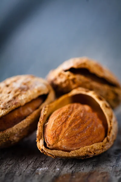 Almond di shell . — Stok Foto