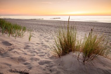 Güneşin üzerinde Baltık kıyıları.