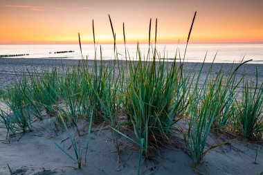 Güneşin üzerinde Baltık kıyıları.
