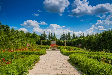 Yeşil bahçe görüntü.