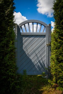 Yeşil bahçe görüntü.