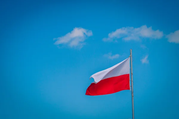 The waving polish national flag. — Stock Photo, Image