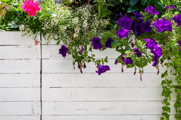 Fond en bois avec des fleurs . — Photo