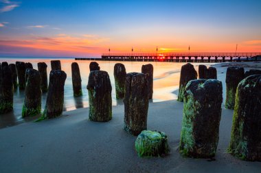 Güneşin üzerinde Baltık kıyıları.