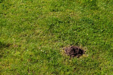 Abstact arka plan, diğer.