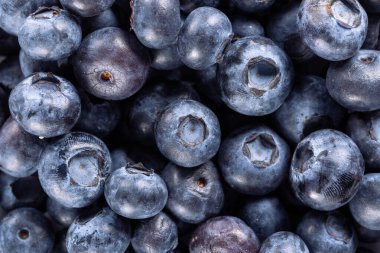 Keyfi olarak yerleştirilmiş büyük taze yaban mersinlerinin arka planı.