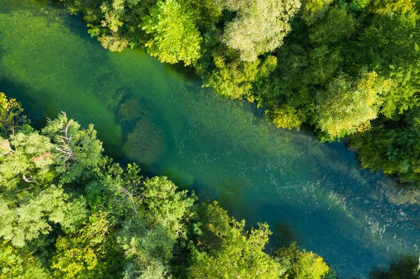 Vista Superior Sobre Ambiente Selvagem Floresta Rio — Fotografia de Stock
