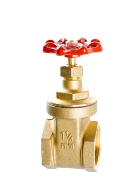 pirinç kapı vanası