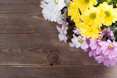 Oxeye papatya çiçek buketi.