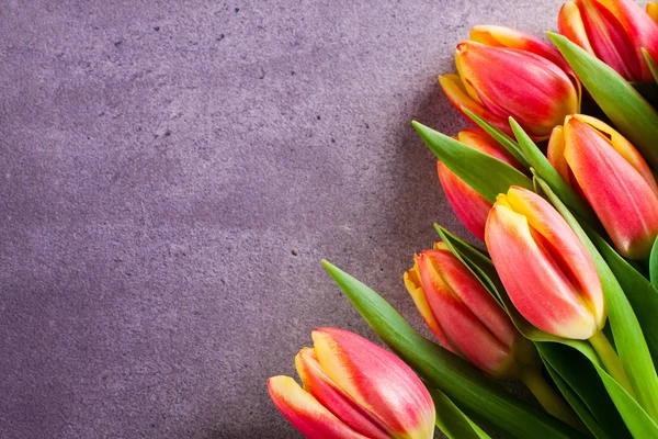 Bouquet of tulip. — Stock Photo, Image